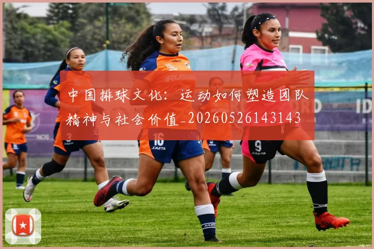 中国排球文化：运动如何塑造团队精神与社会价值_20260526143143