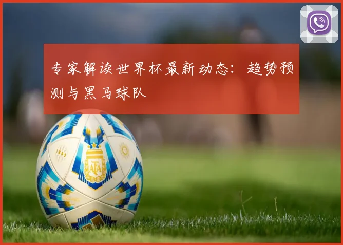 专家解读世界杯最新动态:趋势预测与黑马球队